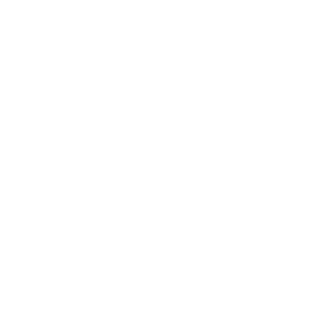 Ford-400