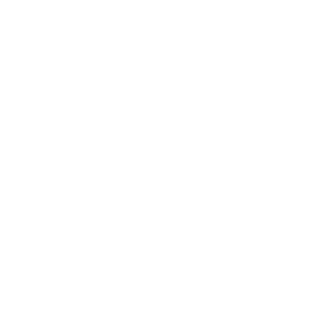 Viking400